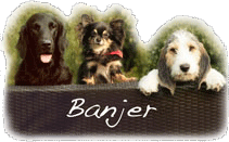 Hondenuitlaatservice Banjer